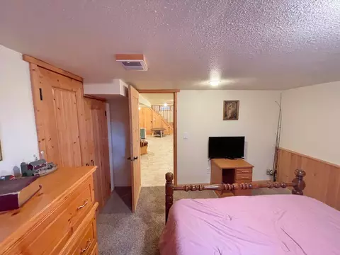 332 N Spring Ave, Springfield, MN 56087 photo 45