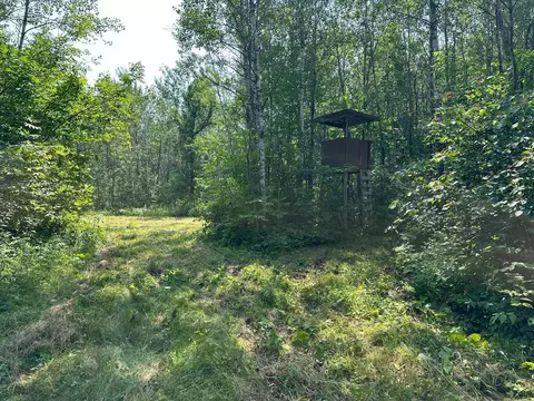 Nn Caraway Road, Little Pine Twp, MN 56447
