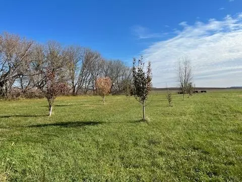 89628 440th St, Hector, MN 55342 photo 25