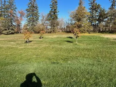 89628 440th St, Hector, MN 55342 photo 24