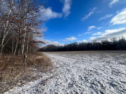 Unassigned Lynx Road, Page Twp, MN 56353