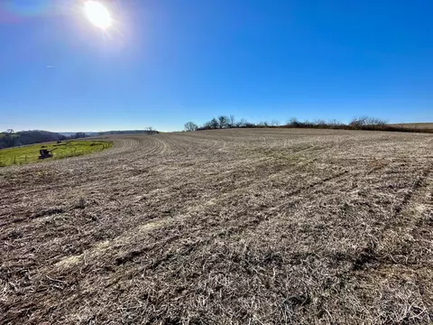 3447 County 14, Caledonia, MN 55921 photo 92