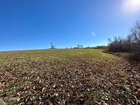3447 County 14, Caledonia, MN 55921 photo 86