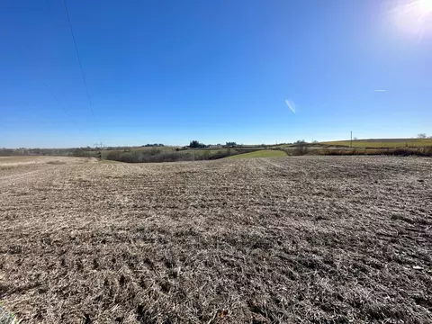 3447 County 14, Caledonia, MN 55921 photo 76