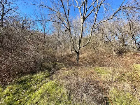 3447 County 14, Caledonia, MN 55921 photo 134