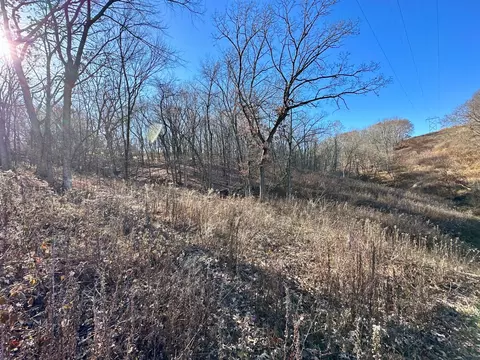 3447 County 14, Caledonia, MN 55921 photo 64