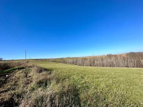 3447 County 14, Caledonia, MN 55921 photo 59