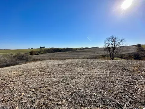 3447 County 14, Caledonia, MN 55921 photo 95