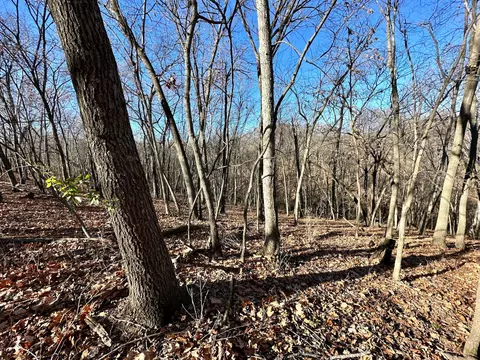 3447 County 14, Caledonia, MN 55921 photo 66