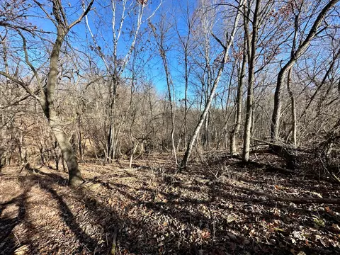 3447 County 14, Caledonia, MN 55921 photo 69