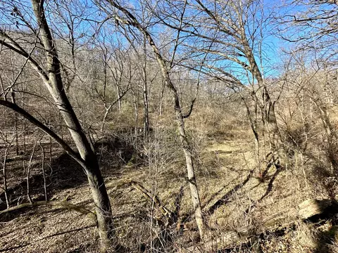 3447 County 14, Caledonia, MN 55921 photo 138