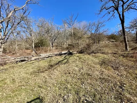 3447 County 14, Caledonia, MN 55921 photo 121