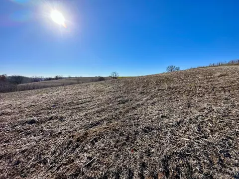 3447 County 14, Caledonia, MN 55921 photo 105