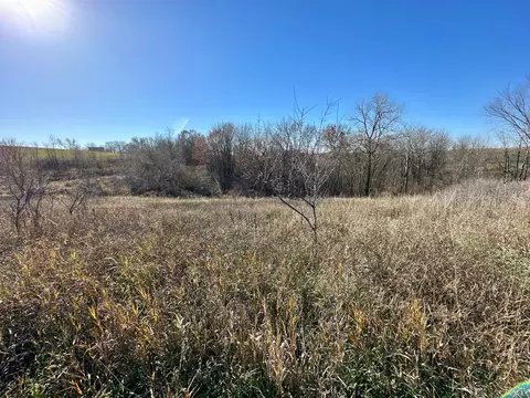3447 County 14, Caledonia, MN 55921 photo 84