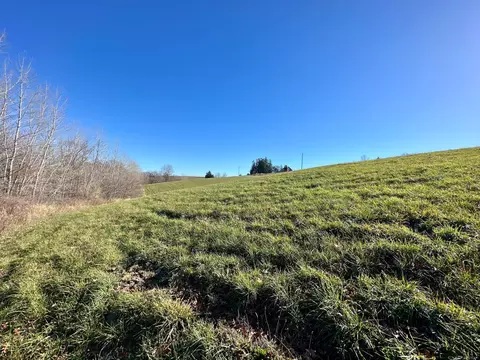 3447 County 14, Caledonia, MN 55921 photo 68