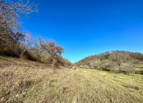 3447 County 14, Caledonia, MN 55921 photo 131