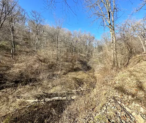 3447 County 14, Caledonia, MN 55921 photo 118