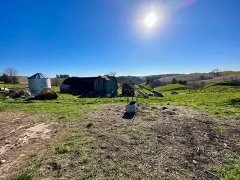 3447 County 14, Caledonia, MN 55921 photo 107