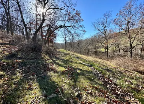 3447 County 14, Caledonia, MN 55921 photo 111