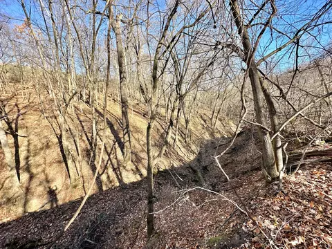 3447 County 14, Caledonia, MN 55921 photo 70