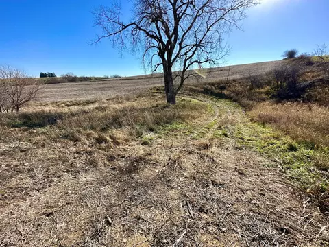 3447 County 14, Caledonia, MN 55921 photo 97