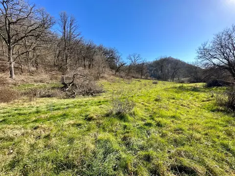 3447 County 14, Caledonia, MN 55921 photo 119
