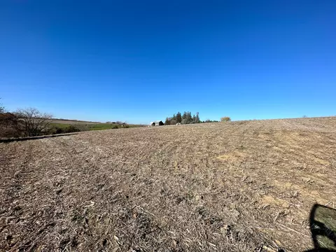 3447 County 14, Caledonia, MN 55921 photo 146