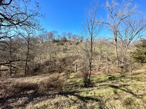 3447 County 14, Caledonia, MN 55921 photo 141