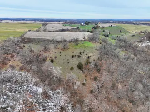 3447 County 14, Caledonia, MN 55921 photo 54