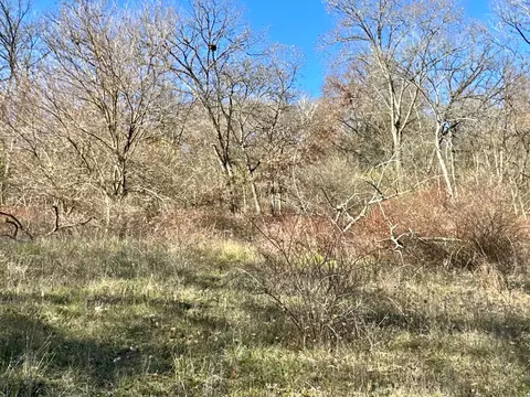 3447 County 14, Caledonia, MN 55921 photo 130
