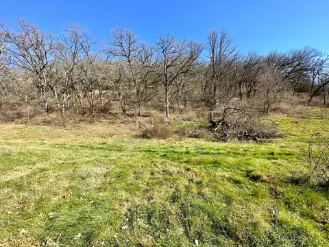 3447 County 14, Caledonia, MN 55921 photo 120