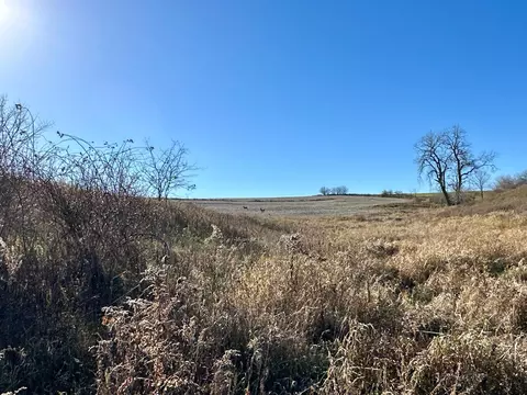 3447 County 14, Caledonia, MN 55921 photo 104