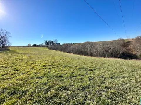 3447 County 14, Caledonia, MN 55921 photo 62