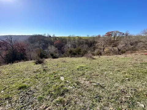 3447 County 14, Caledonia, MN 55921 photo 101