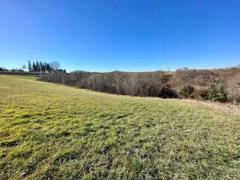 3447 County 14, Caledonia, MN 55921 photo 63