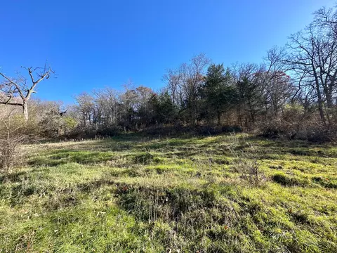 3447 County 14, Caledonia, MN 55921 photo 113