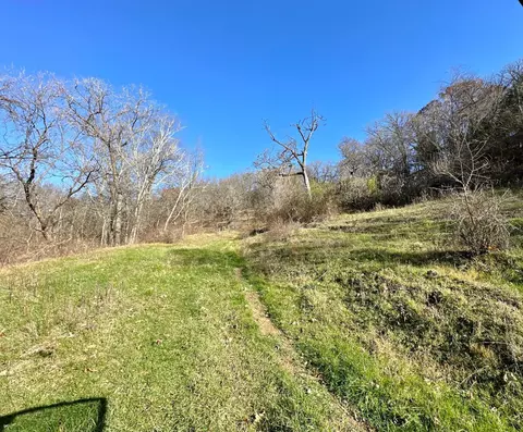 3447 County 14, Caledonia, MN 55921 photo 140