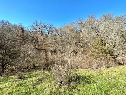 3447 County 14, Caledonia, MN 55921 photo 139