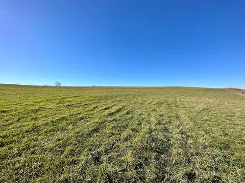 3447 County 14, Caledonia, MN 55921 photo 80