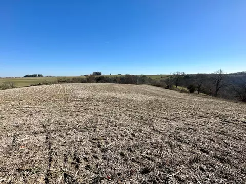 3447 County 14, Caledonia, MN 55921 photo 99