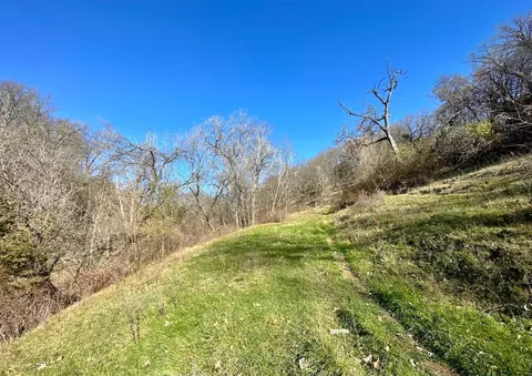 3447 County 14, Caledonia, MN 55921 photo 115