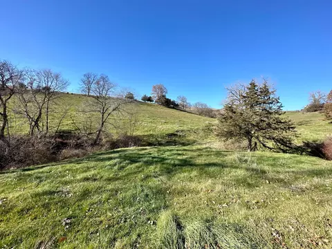 3447 County 14, Caledonia, MN 55921 photo 143