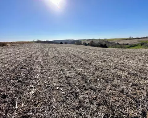 3447 County 14, Caledonia, MN 55921 photo 144