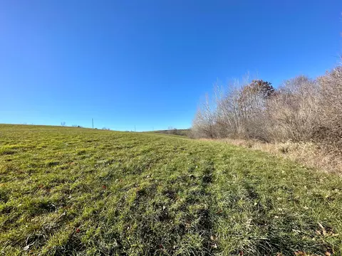 3447 County 14, Caledonia, MN 55921 photo 65