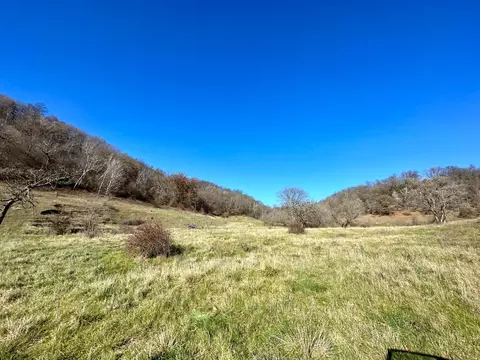 3447 County 14, Caledonia, MN 55921 photo 135