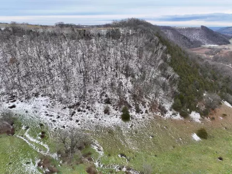 3447 County 14, Caledonia, MN 55921 photo 47