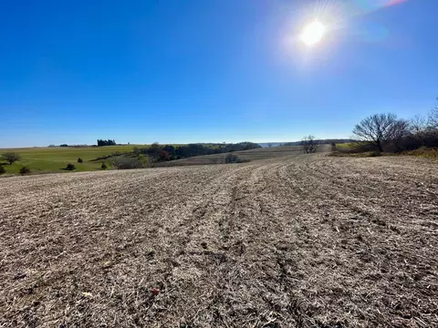 3447 County 14, Caledonia, MN 55921 photo 93