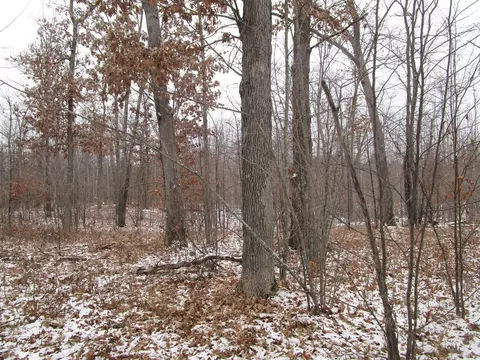 lot7 Winter Hill Trl, Danbury, WI 54830