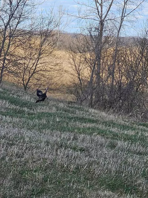 Nnnn Highway 43, Wilson Twp, MN 55987