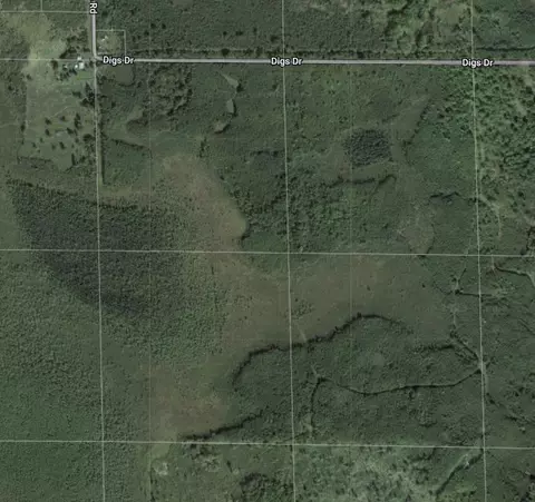Nnn Digs Drive, Wright, MN 55798 photo 23